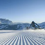 Alpenparks Apartament