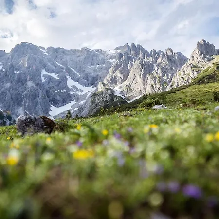 Apartmán Alpenparks *